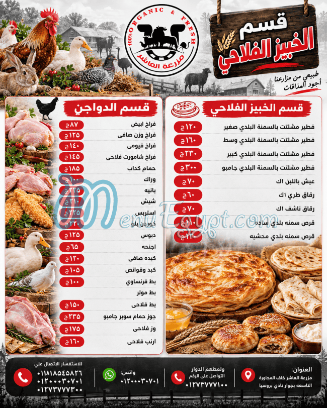 منيو مزرعة العاشر مصر