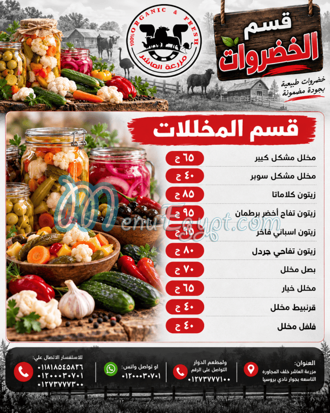 مطعم مزرعة العاشر مصر