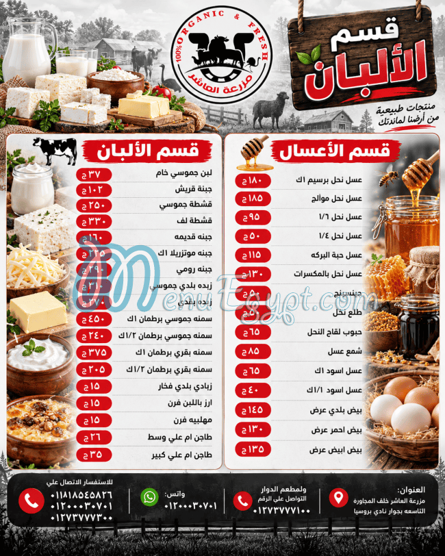 مزرعة العاشر مصر منيو بالعربى