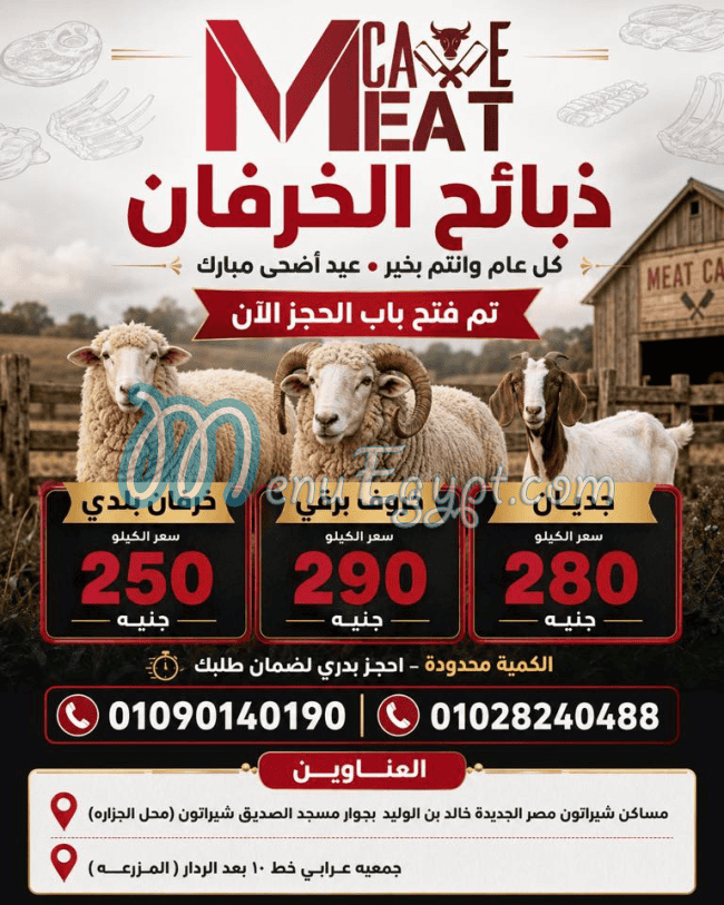 ميت كاف مصر الخط الساخن