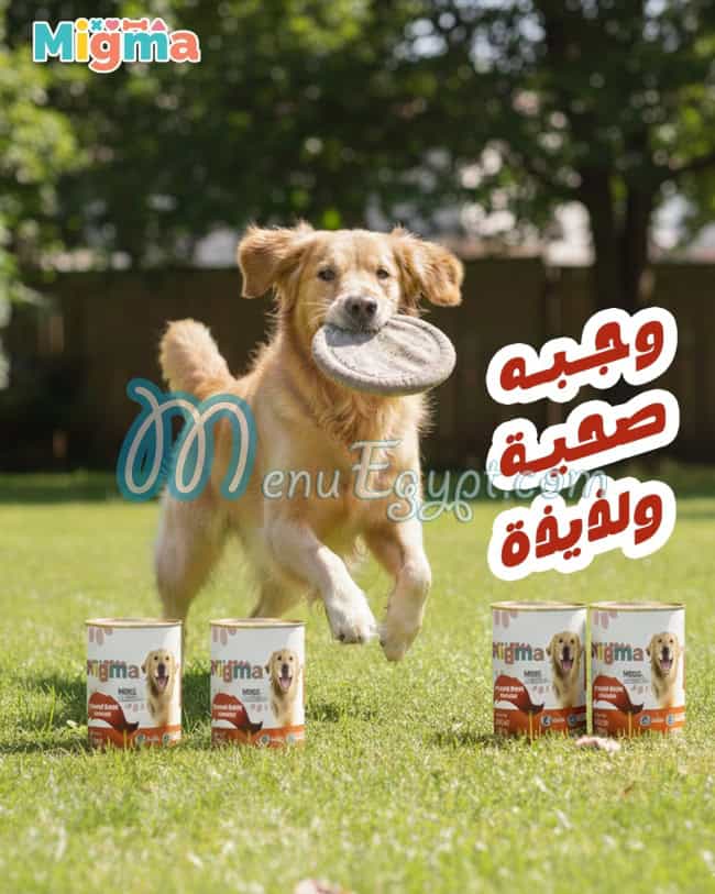 مطعم ميجما مصر