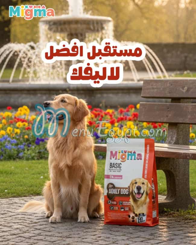 ميجما مصر منيو بالعربى