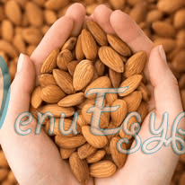 مطعم محمصات سدره مصر