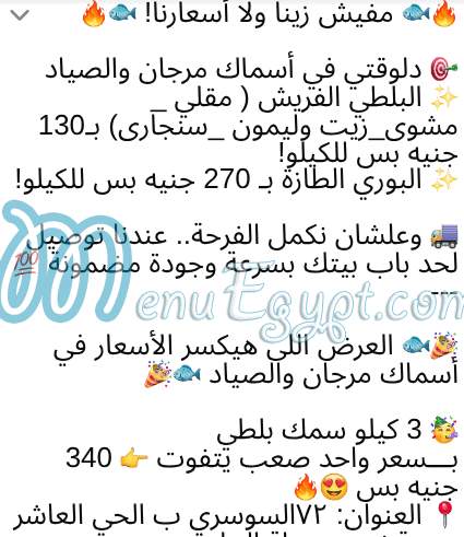 Morgan  we   El Sayad egypt