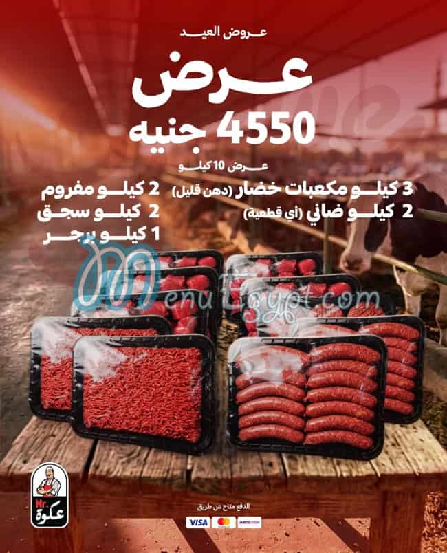 مستر عكوة مصر الخط الساخن