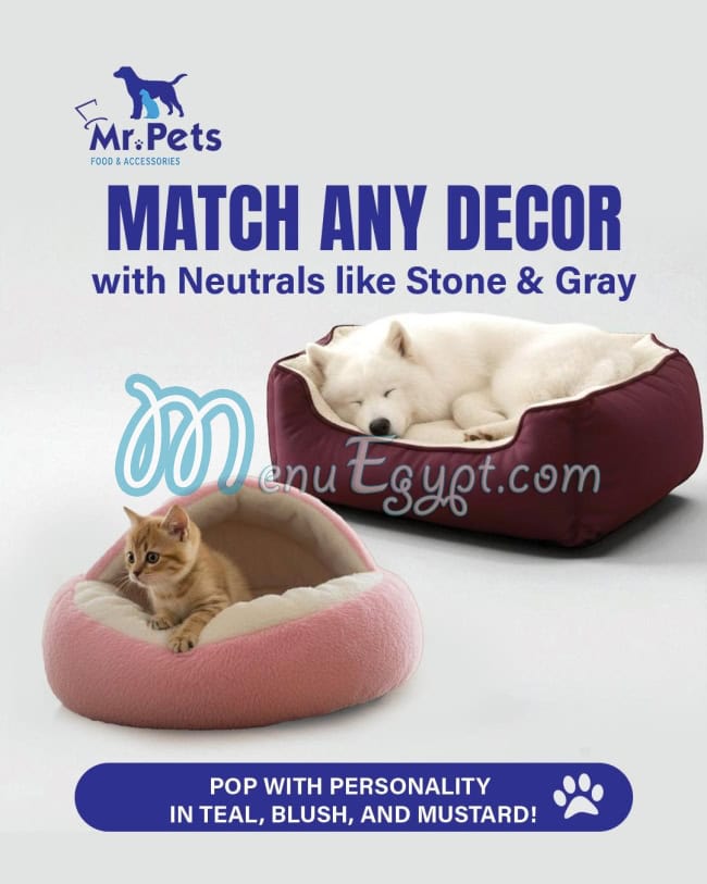 مستر بيتس مصر