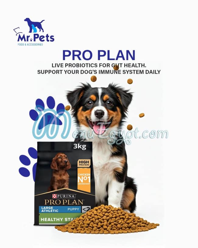 منيو مستر بيتس مصر 1