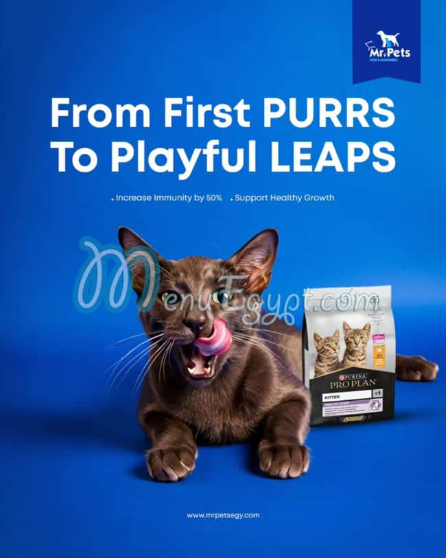 منيو مستر بيتس مصر