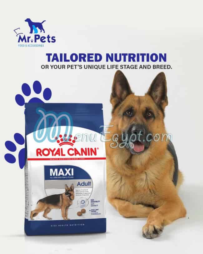 رقم مستر بيتس مصر