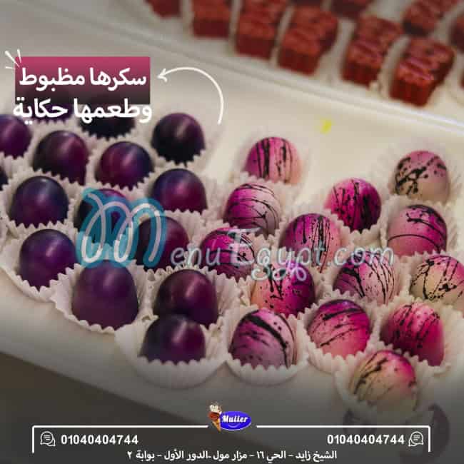 مولر الشام مصر الخط الساخن