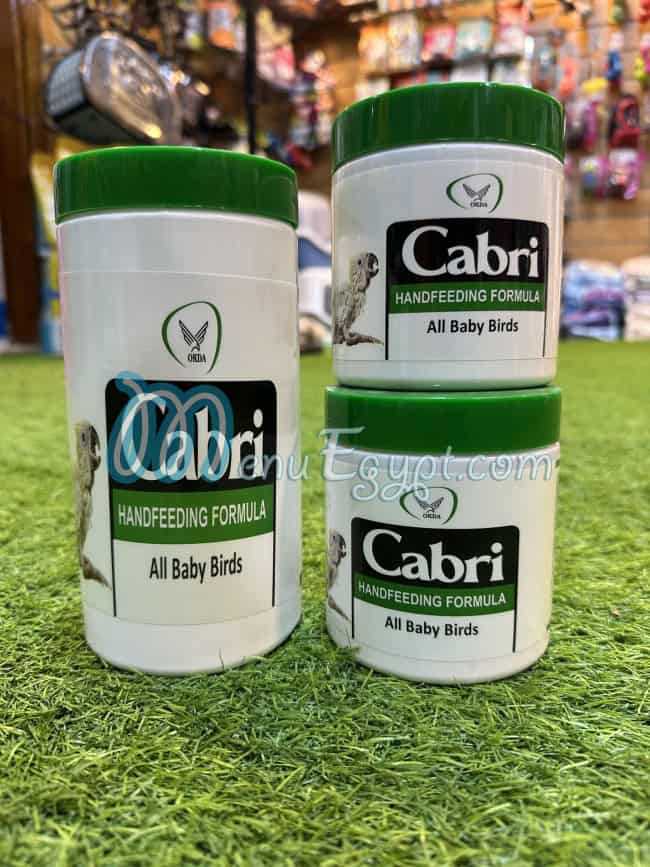 Oh pets menu Egypt 4