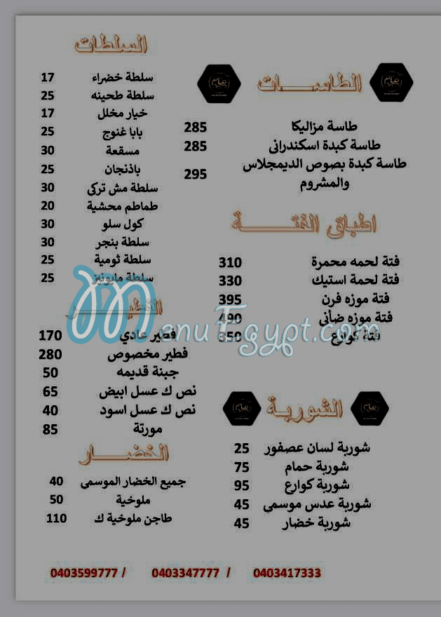 ام محمد طنطا مصر منيو بالعربى