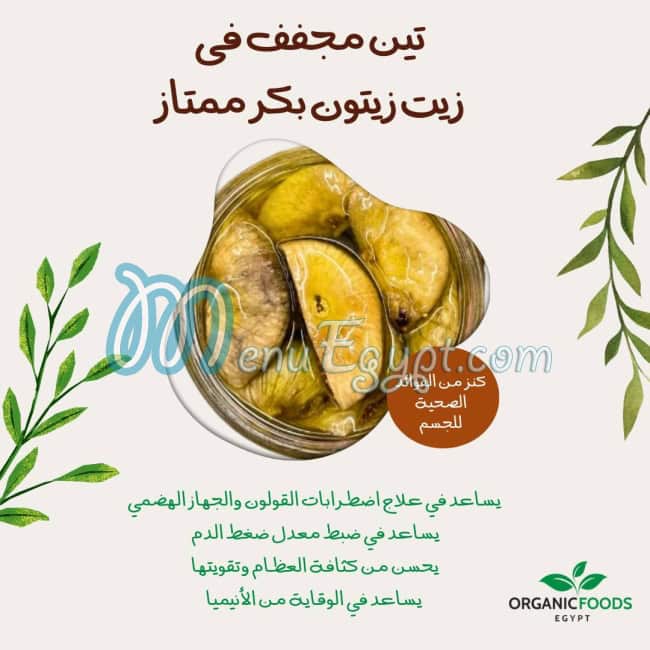 Organic Foods Egypt menu Egypt 3