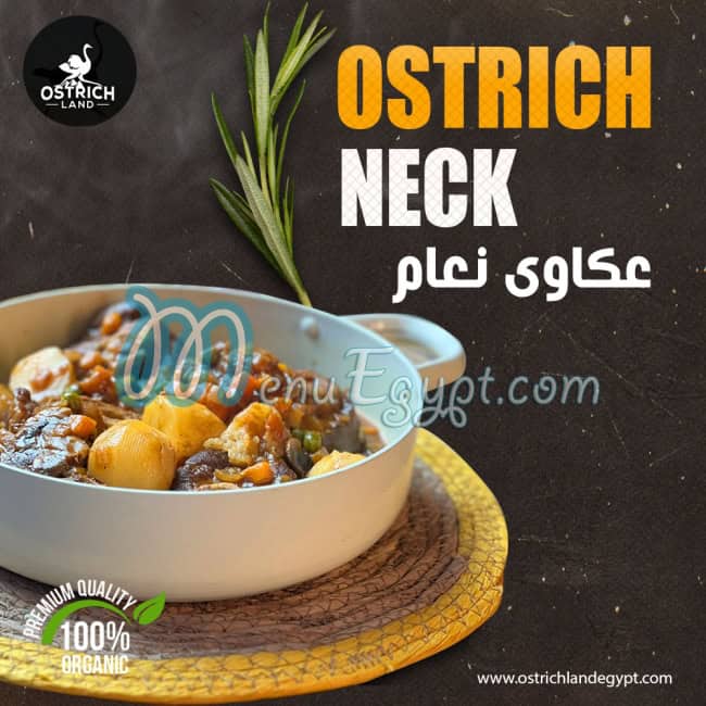 Ostrich land menu Egypt 6