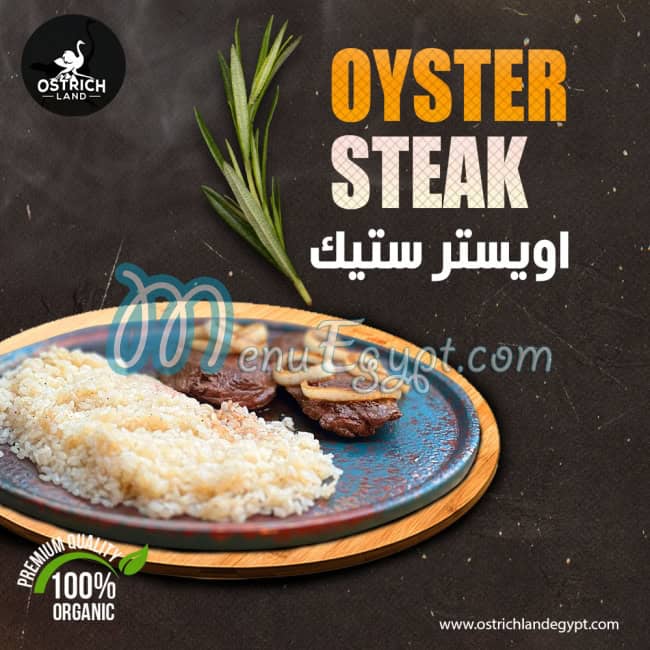 Ostrich land menu Egypt 8