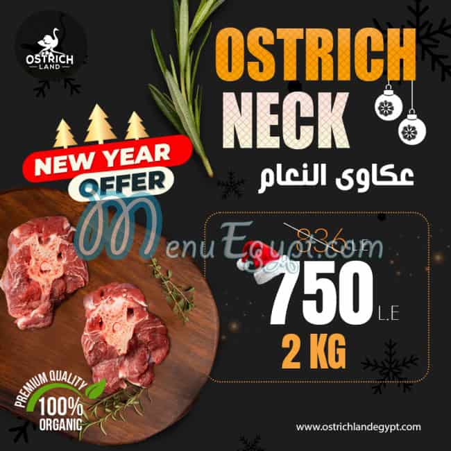 Ostrich land menu Egypt 1