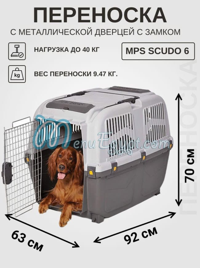 بابا دوجز مصر