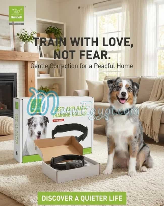 منيو بوز ان بوز مصر