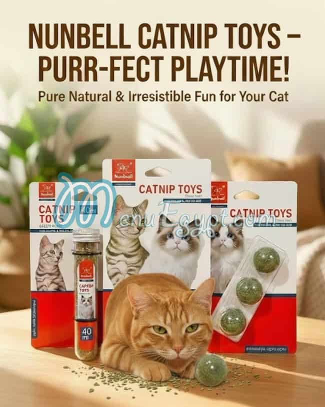 مطعم بوز ان بوز مصر