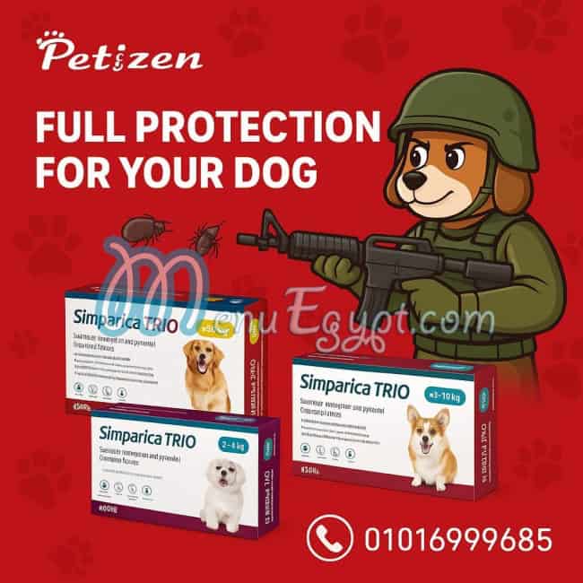 Petizen menu Egypt 3