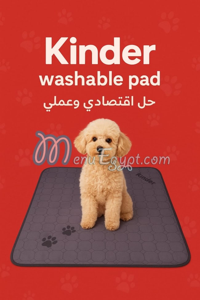 رقم بيتيزن مصر