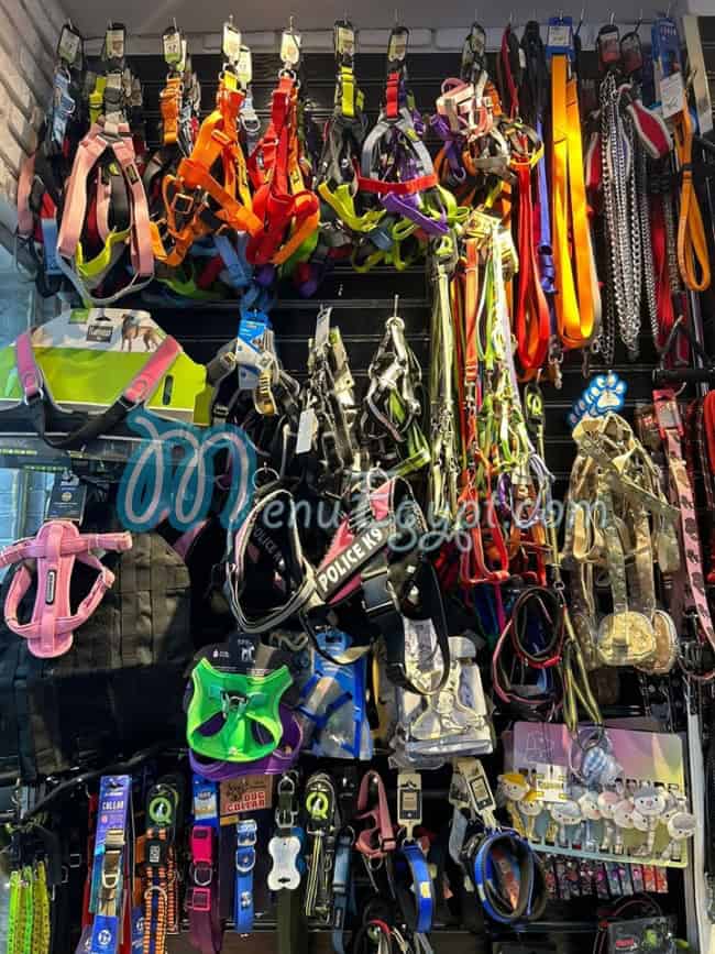 بيتس اند بيتس مصر