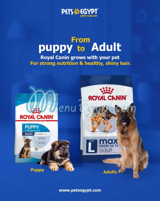 Pets Egypt delivery menu