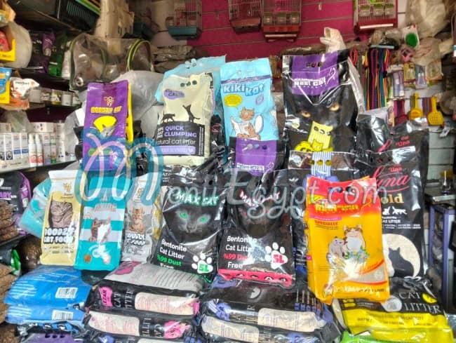 أسعار بيتس فود مصر