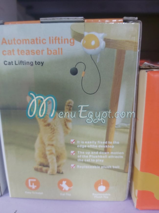 مطعم مملكة الحيوانات الأليفة مصر