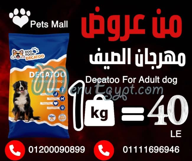 بيتس مول مصر الخط الساخن