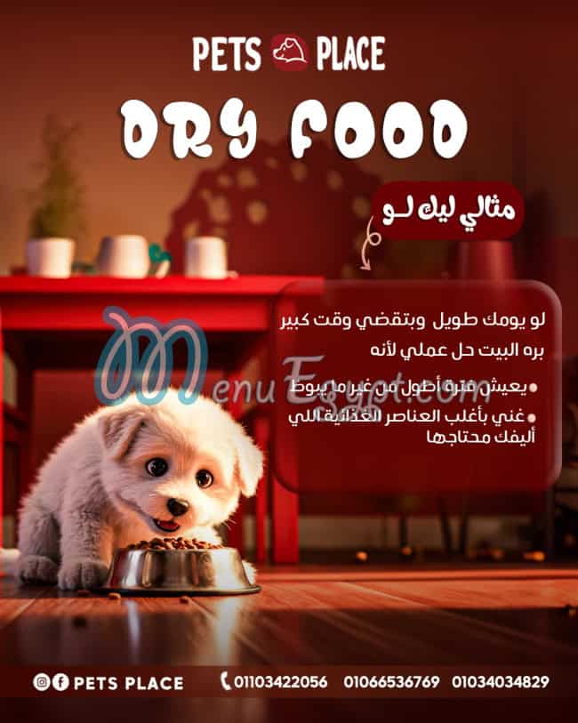 منيو بيتس بلاس