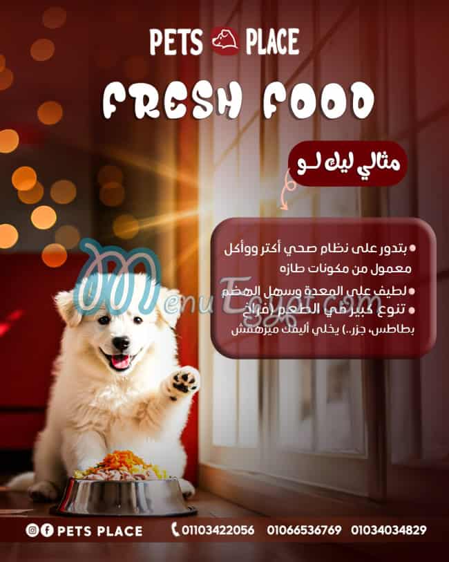 منيو بيتس بلاس مصر