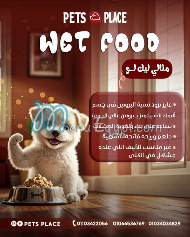 مطعم بيتس بلاس مصر