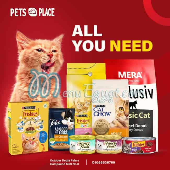 بيتس بلاس مصر الخط الساخن