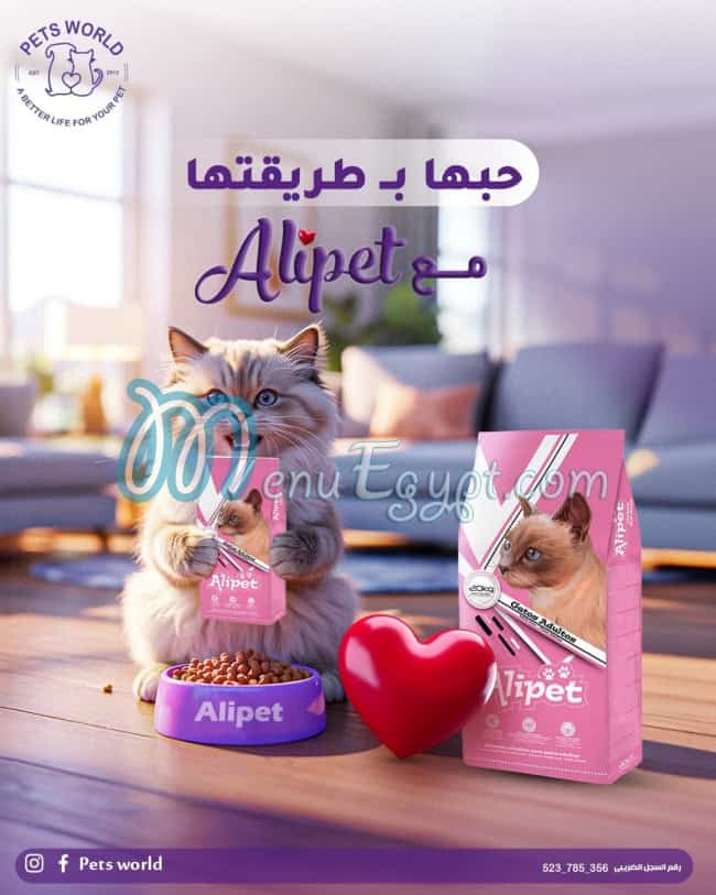 رقم بيتس وورلد مصر