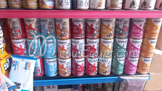 بيتس فور يو مصر الخط الساخن