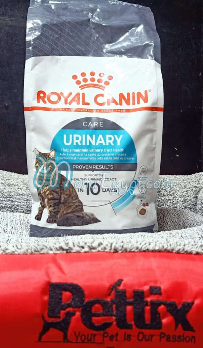 مطعم بيتيكس مصر