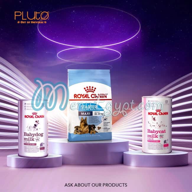 رقم بلوتو بيت شوب مصر