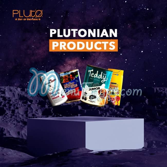 أسعار بلوتو بيت شوب مصر