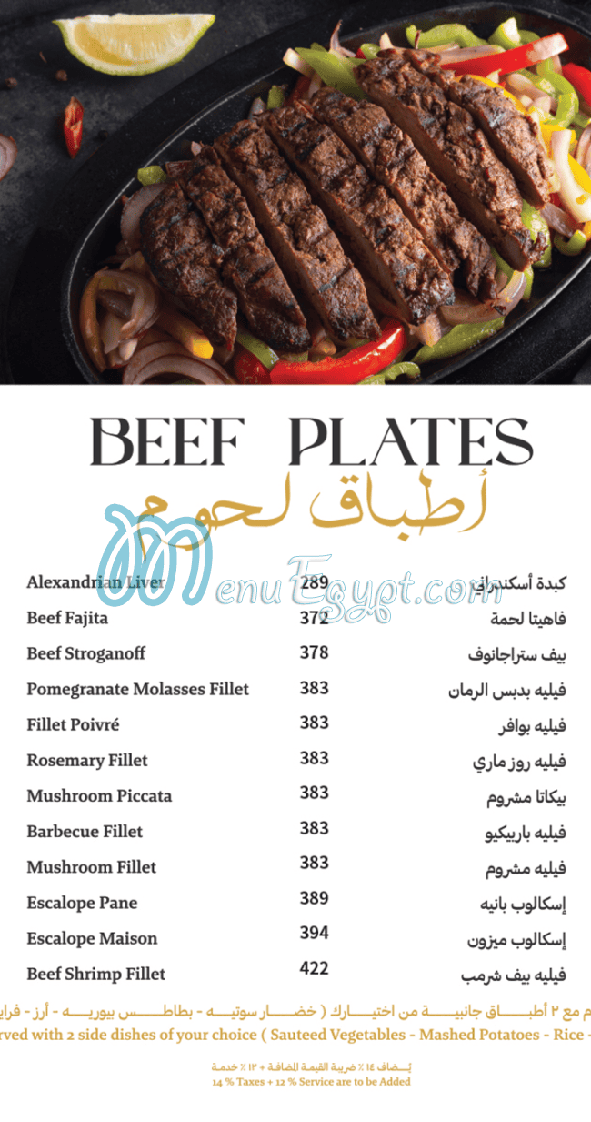 أسعار برنسيس مصر