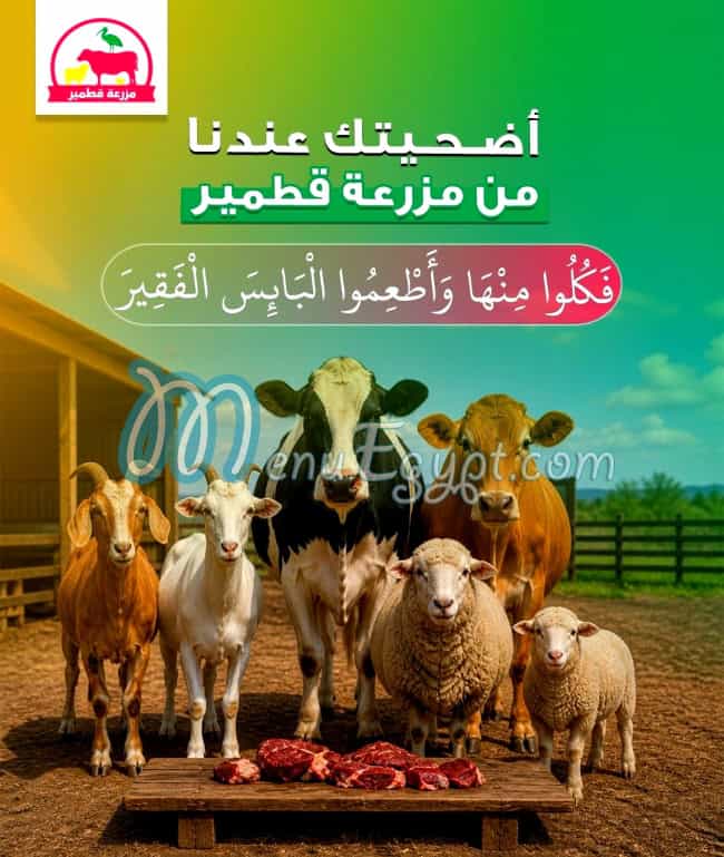 منيو مزرعة قطمير