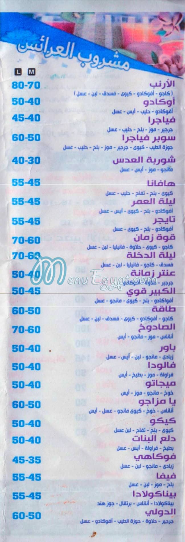 رابيت جوس مصر الخط الساخن