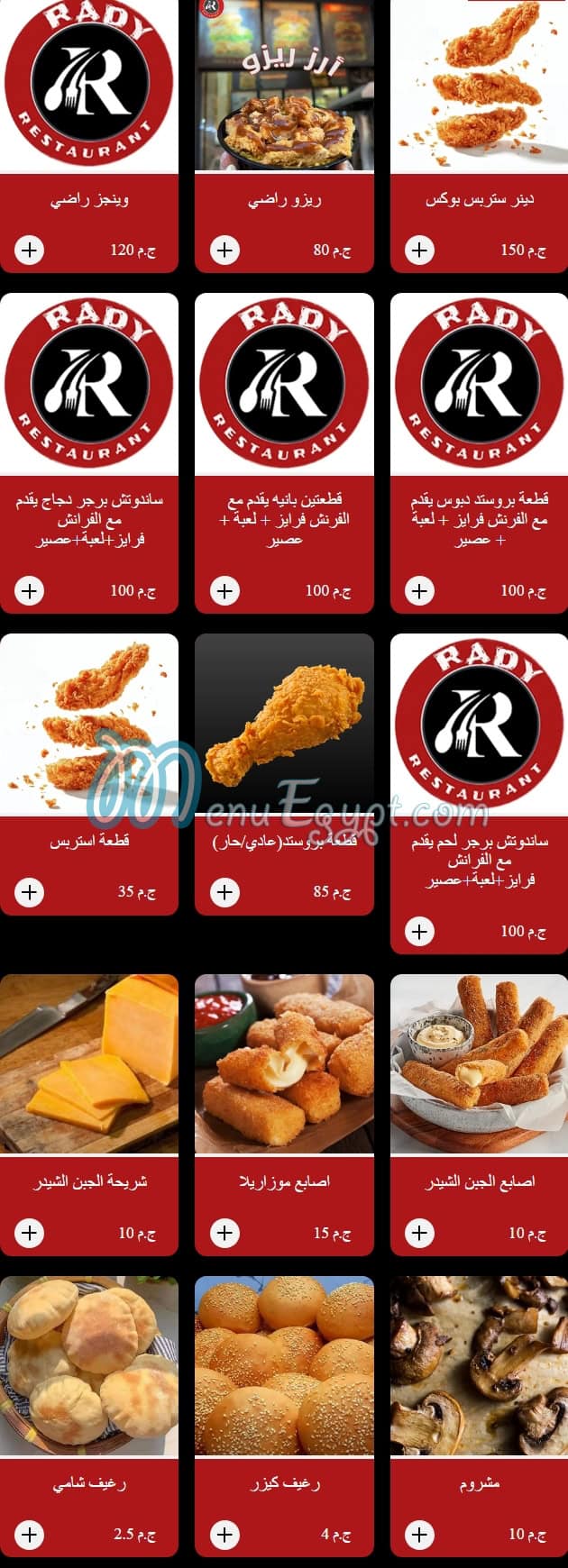 راضي مصر