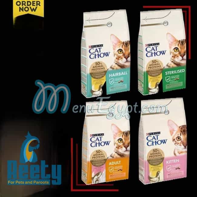 ريتي مصر الخط الساخن