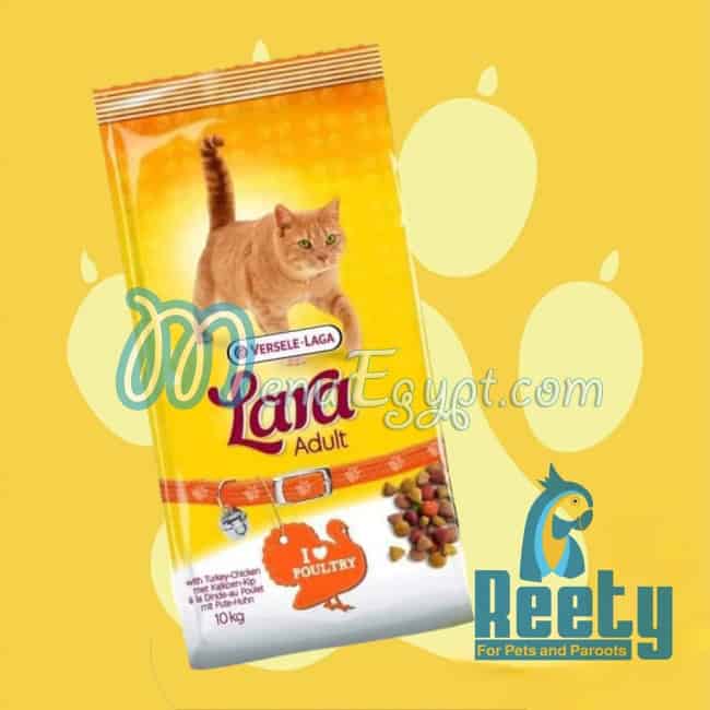 رقم ريتي مصر