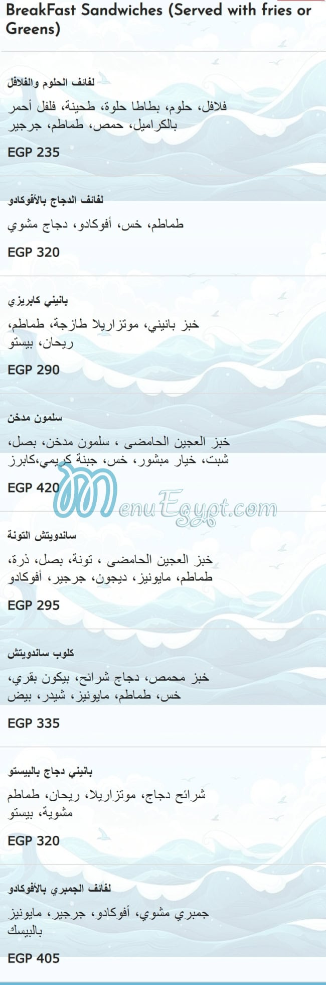 سكالا مصر الخط الساخن