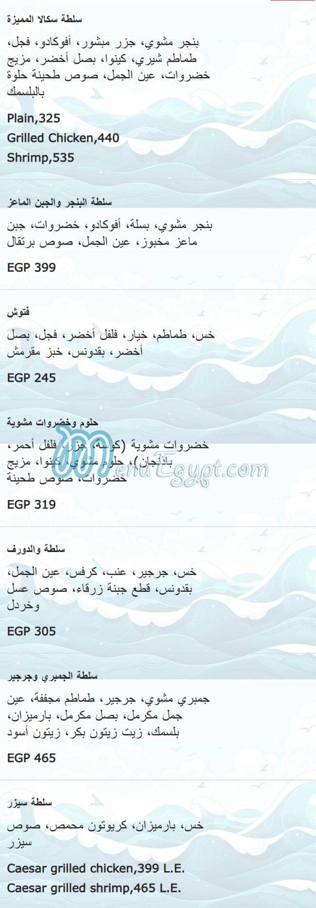 أسعار سكالا مصر