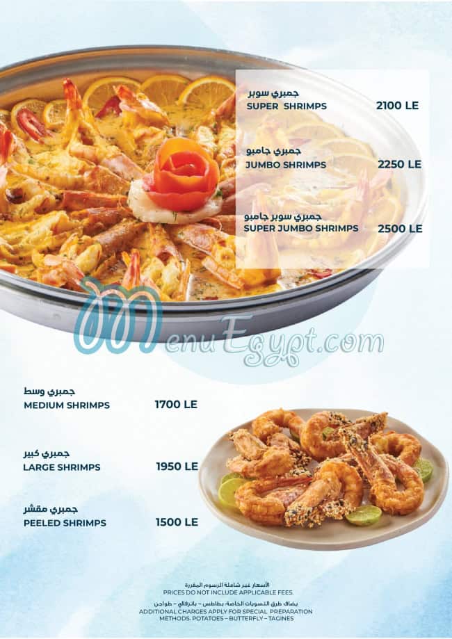 Seagull menu Egypt 6