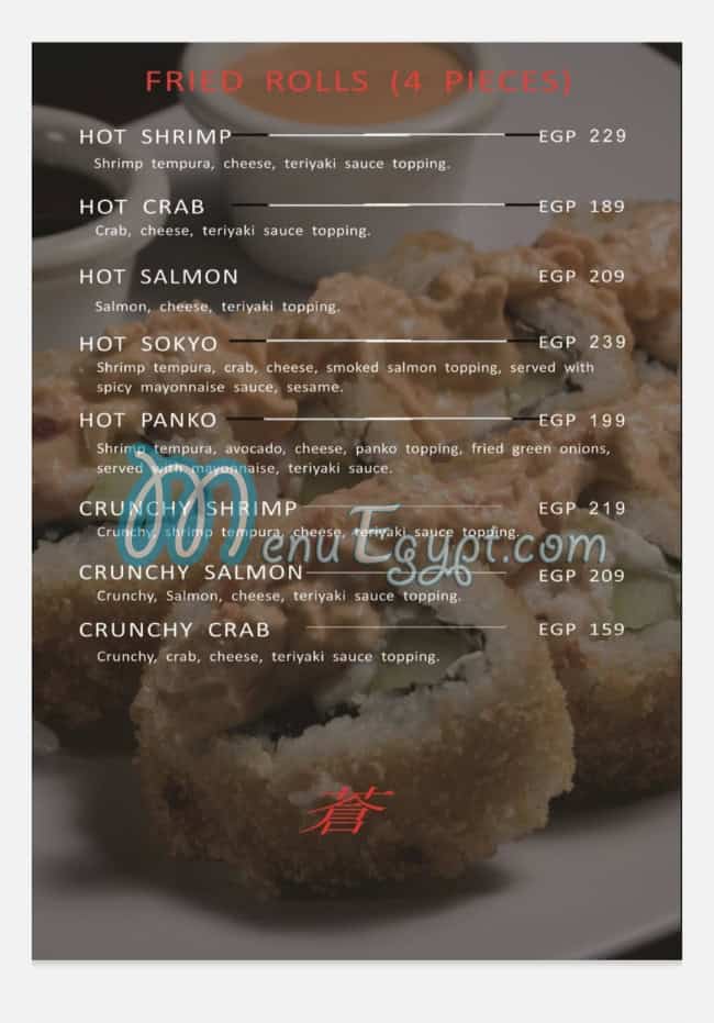 Sokyo menu Egypt 5
