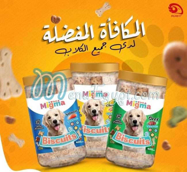 رقم سوبر بيتس مصر